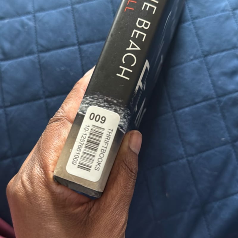 A Stranger on the Beach