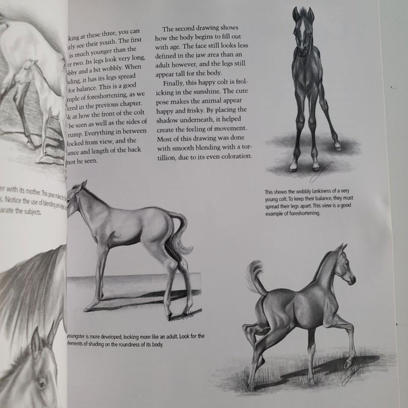 Draw Horses