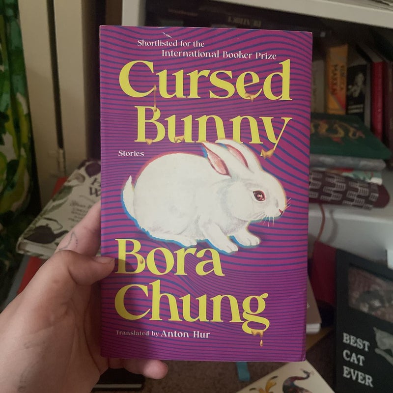 Cursed Bunny: Stories