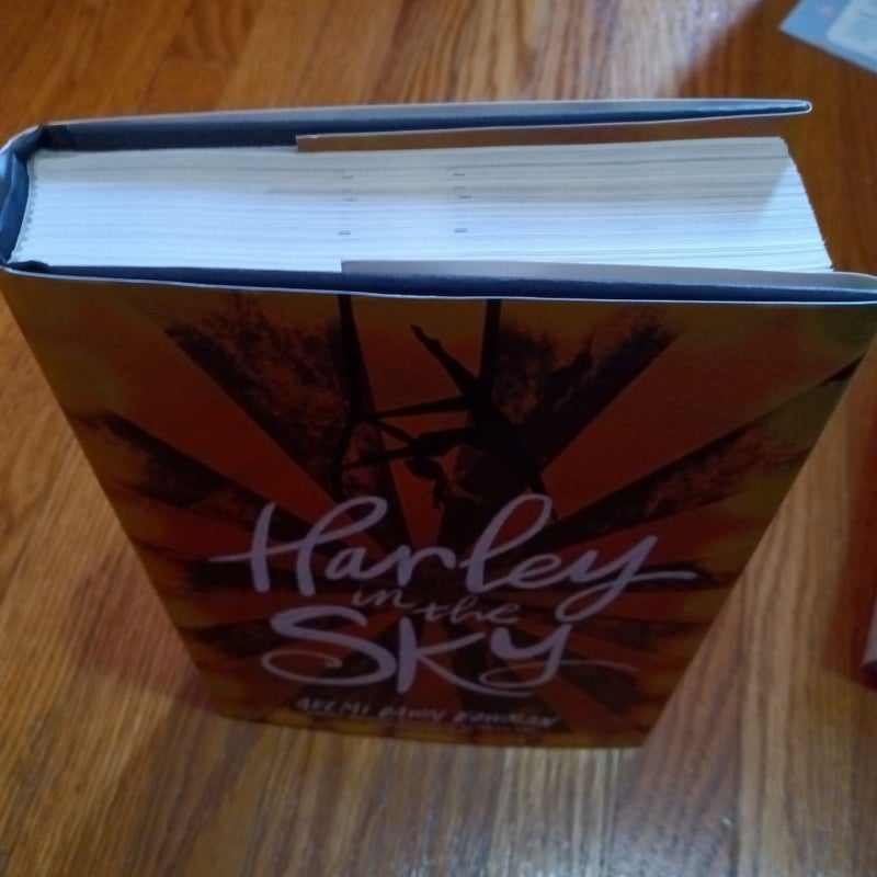 Harley in the Sky