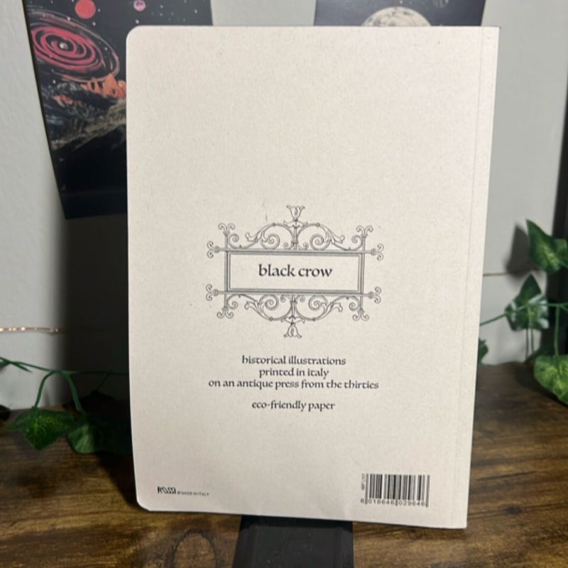 Crow Notebook