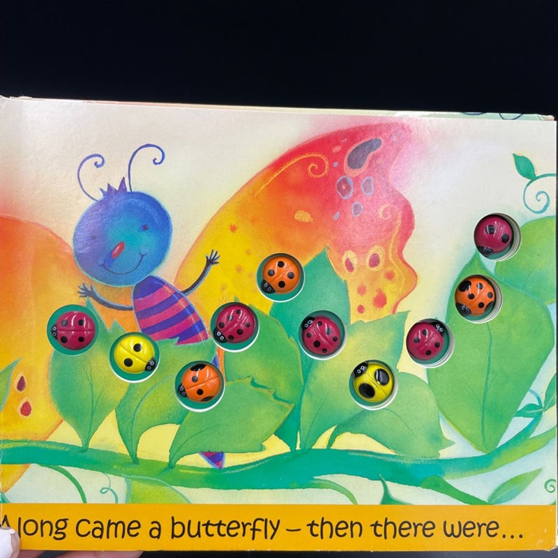 Ten Little Ladybugs hardcover childrens Book
