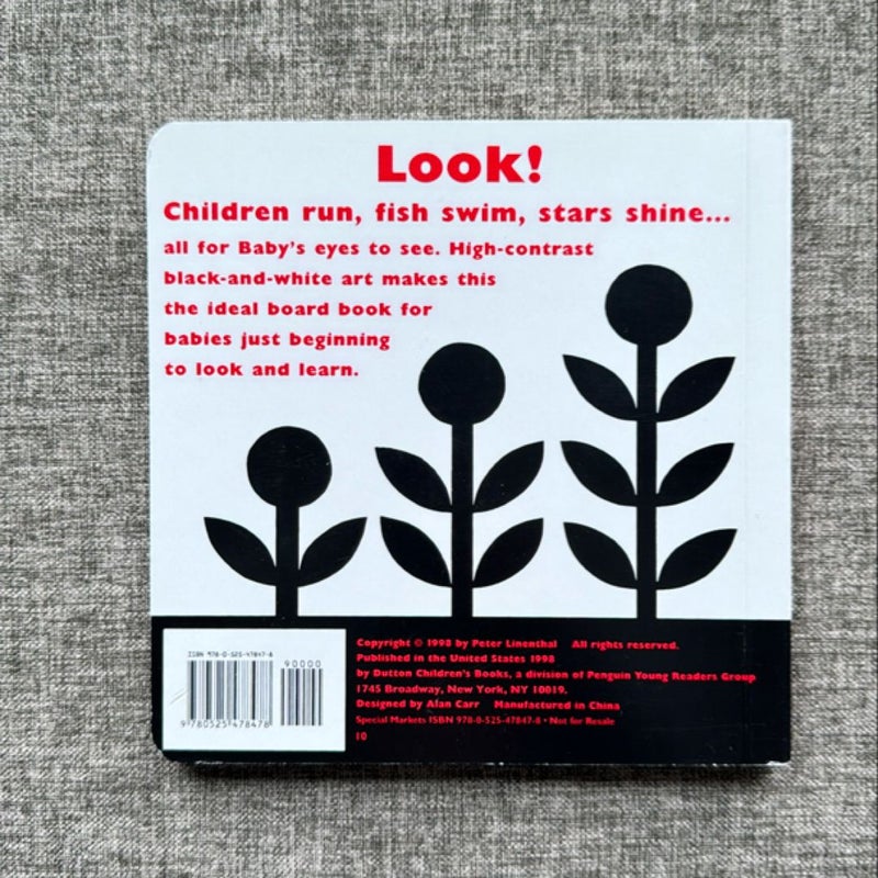 Look Look! ((Board book)