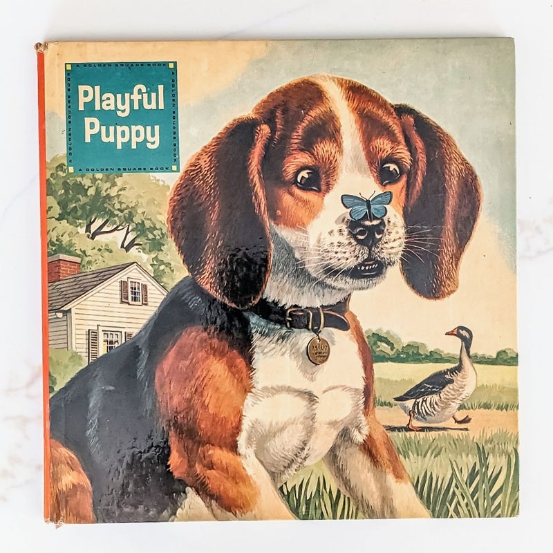 Playful Puppy (A Golden Square Book)