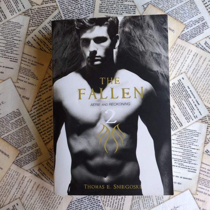 The Fallen 2 (Aerie and Recokoning)
