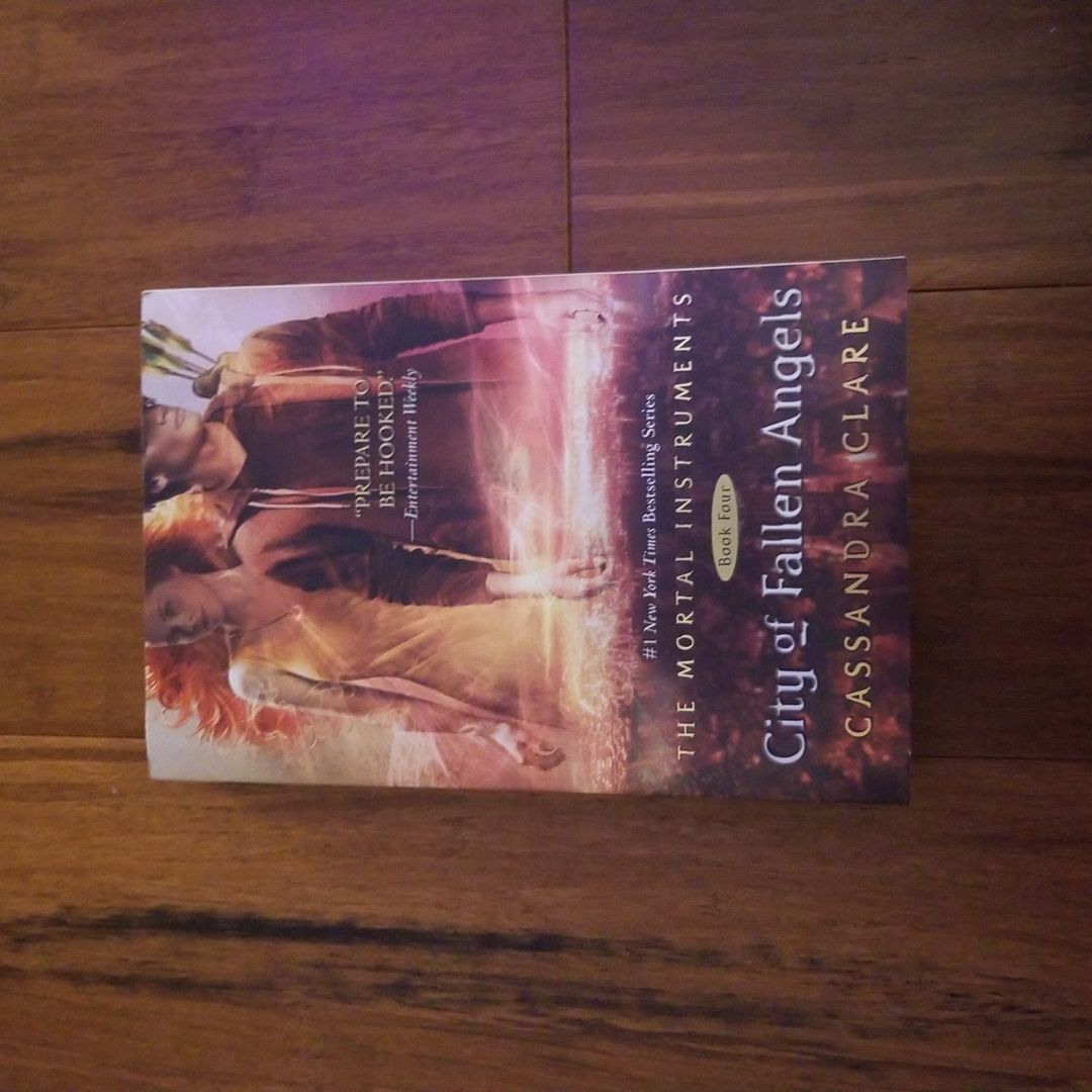 City of Fallen Angels