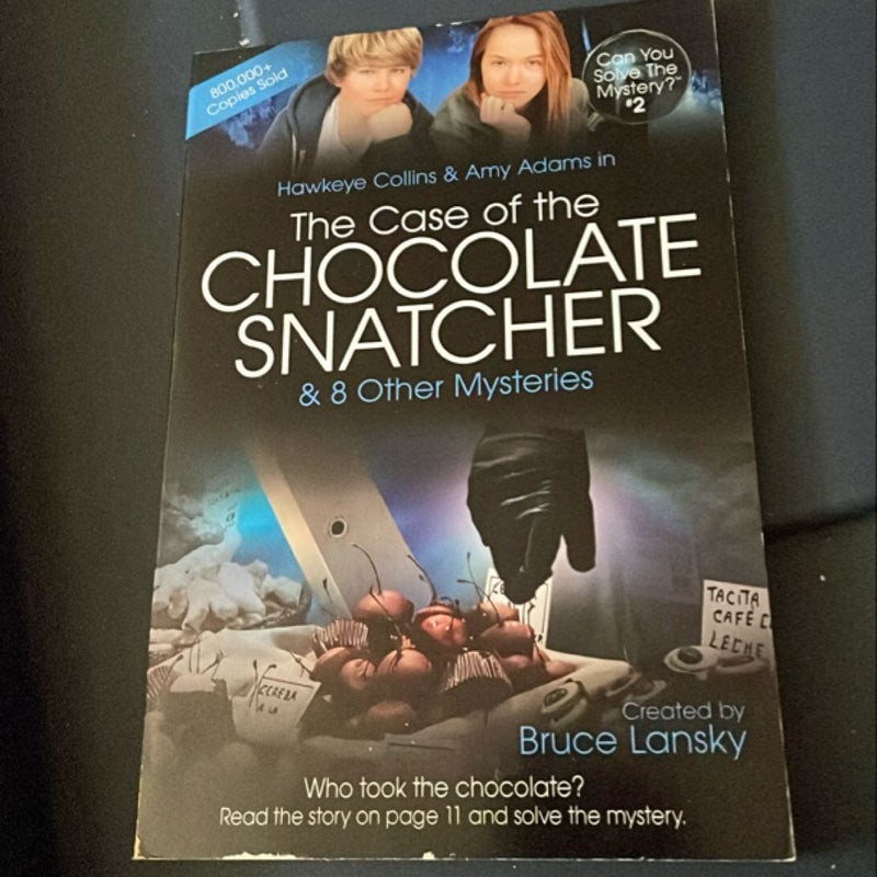 The Case of the Chocolate Snatcher