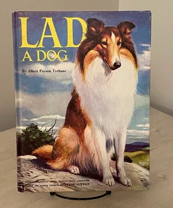 Lad, a Dog