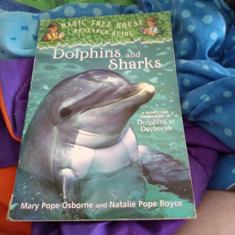 Dolphins and Sharks 