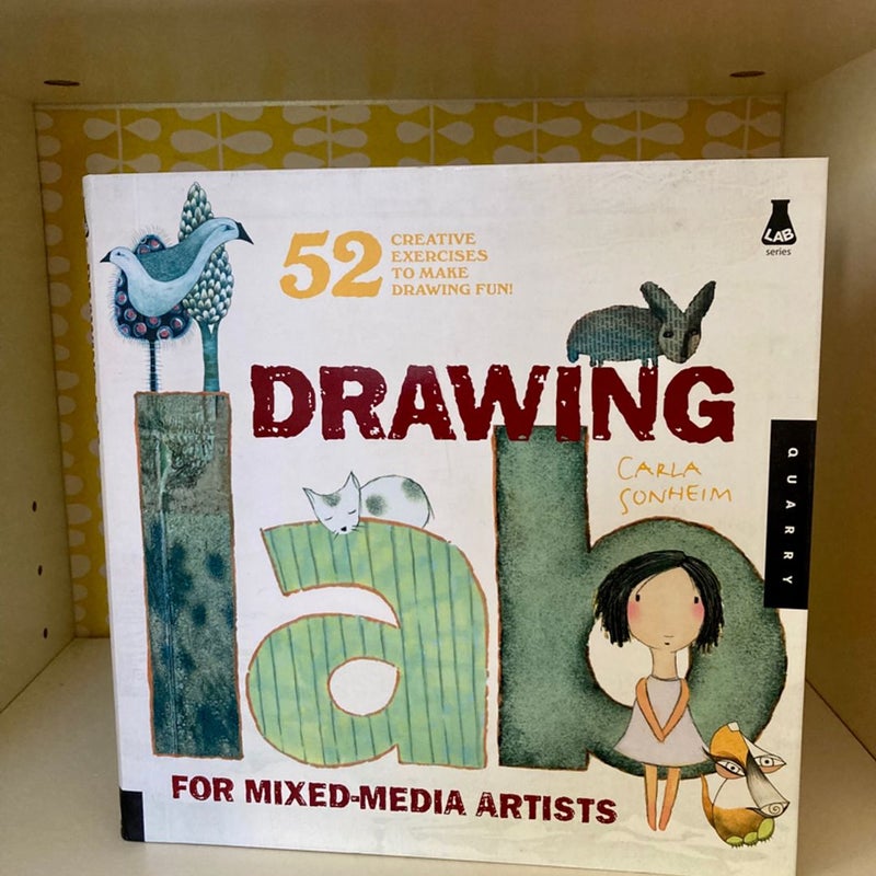 Drawing Lab for Mixed-Media Artists: 52 Creative Exercises to Make Drawing  Fun (Lab Series): Sonheim, Carla: 9781592536139: : Books
