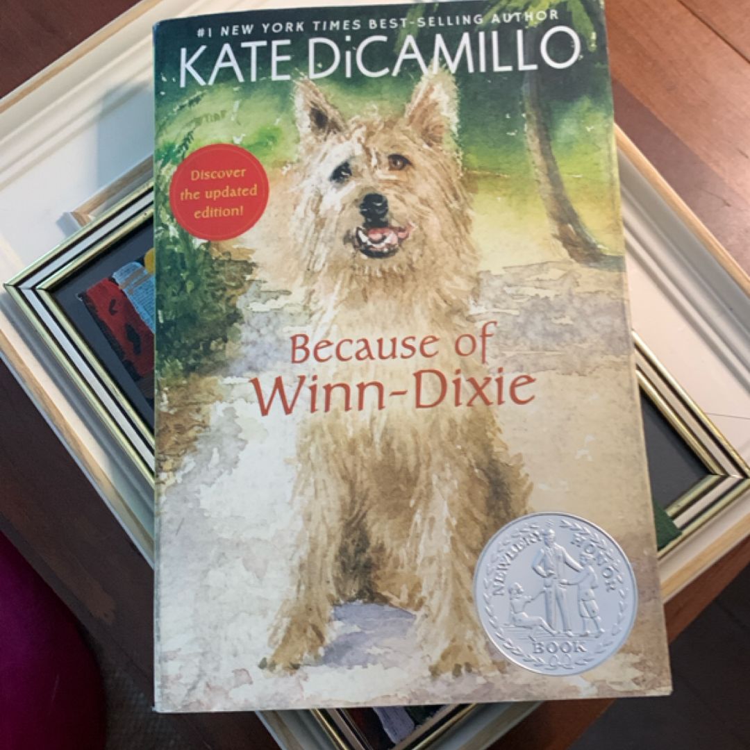 Because of Winn-Dixie