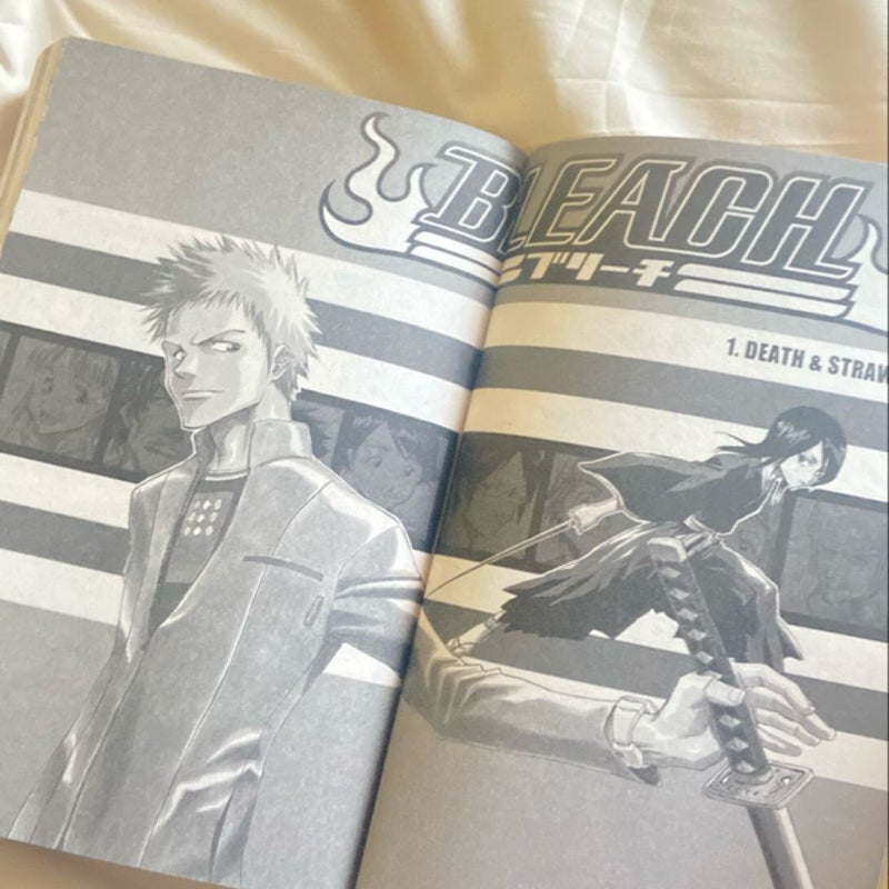 Bleach (3-In-1 Edition), Vol. 1