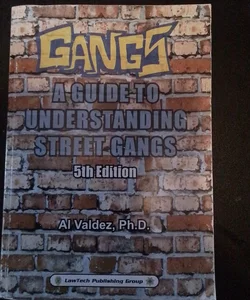 Gangs A guide to understanding street gangs