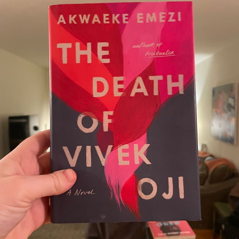 The Death of Vivek Oji