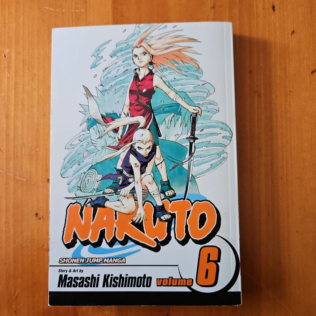 Naruto, Vol. 6