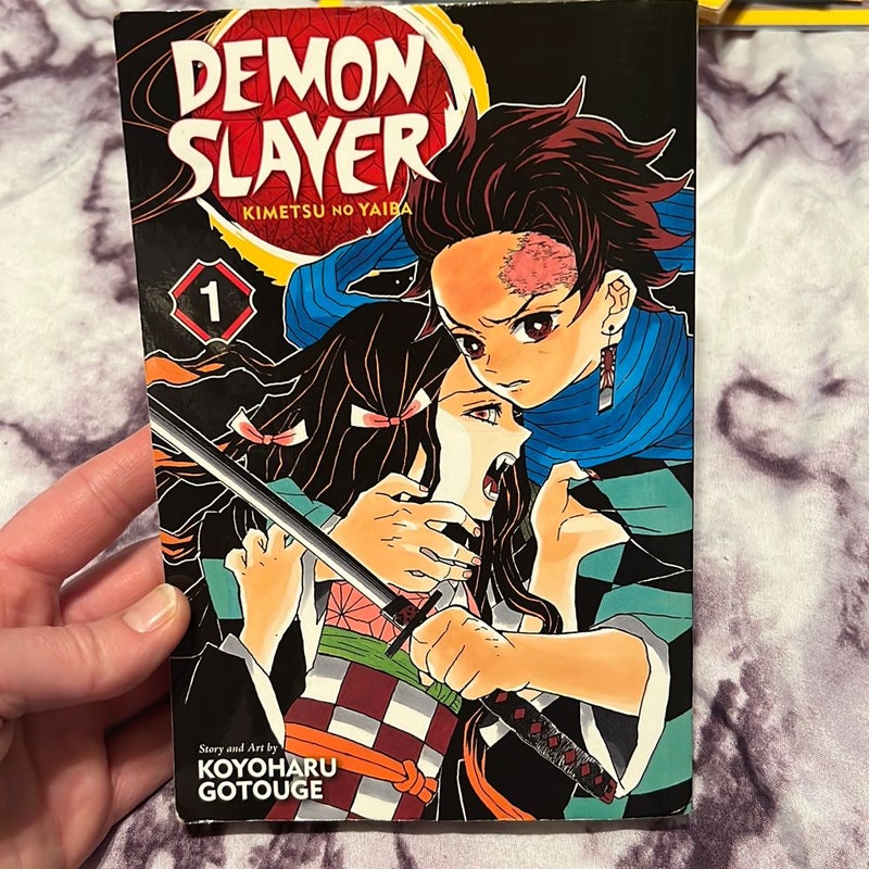 Demon Slayer: Kimetsu No Yaiba, Vol. 1