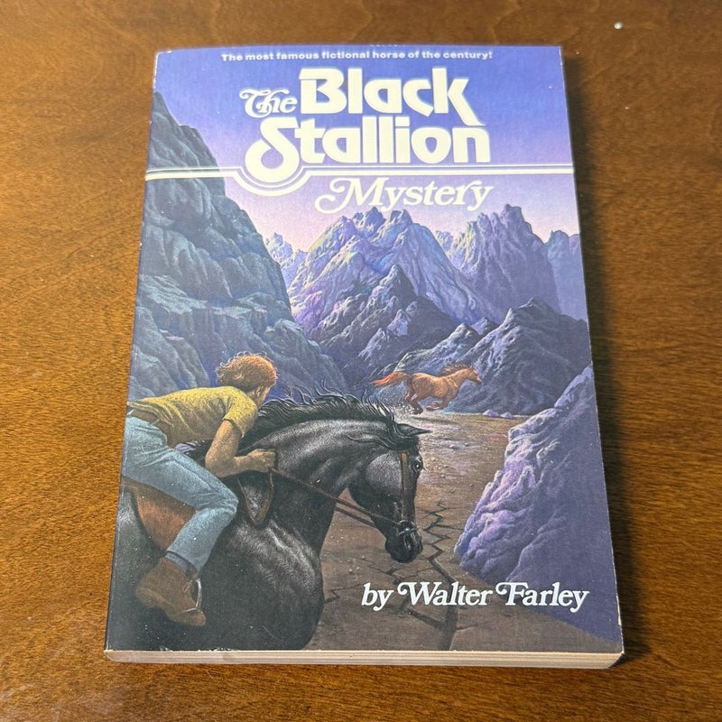 Black Stallion Books