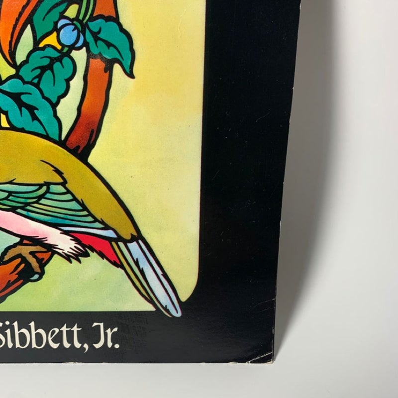 Wildflowers & Exotic Birds Vintage Stained Glass Coloring Book Lot 90s Nature