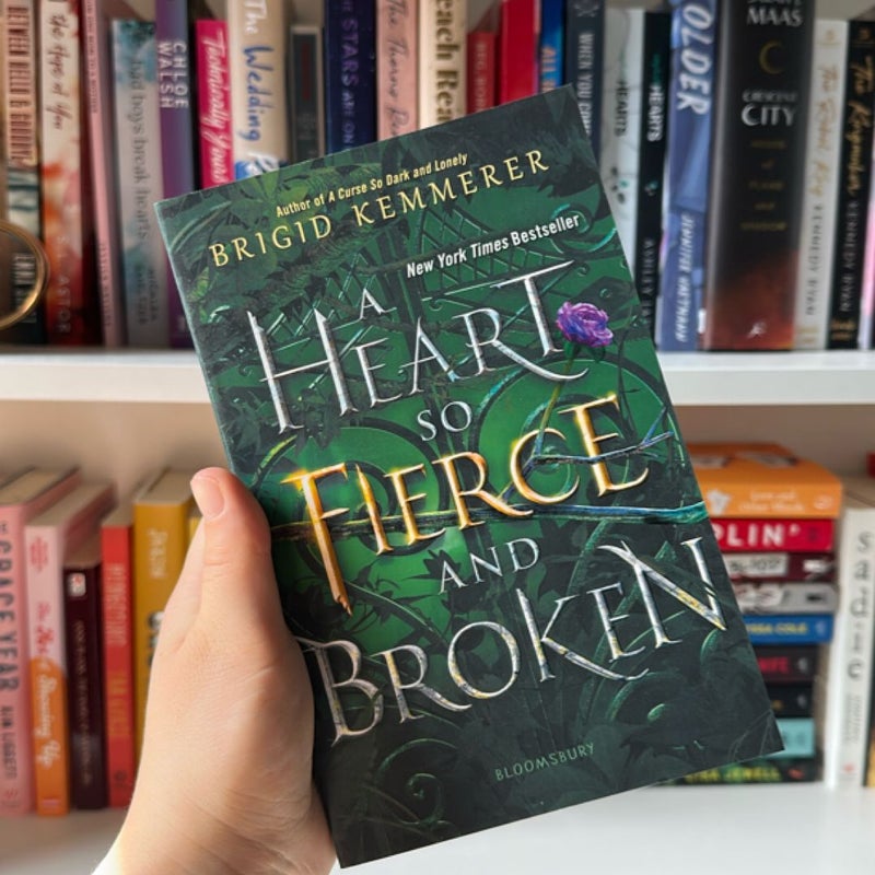 A Heart So Fierce and Broken