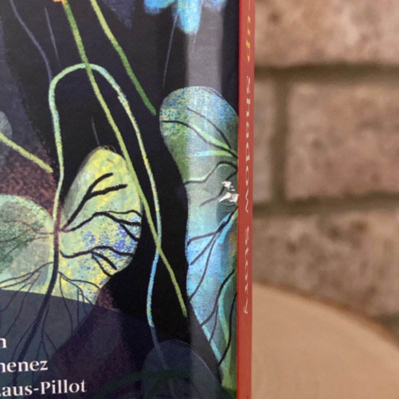 Little Red Riding Hood