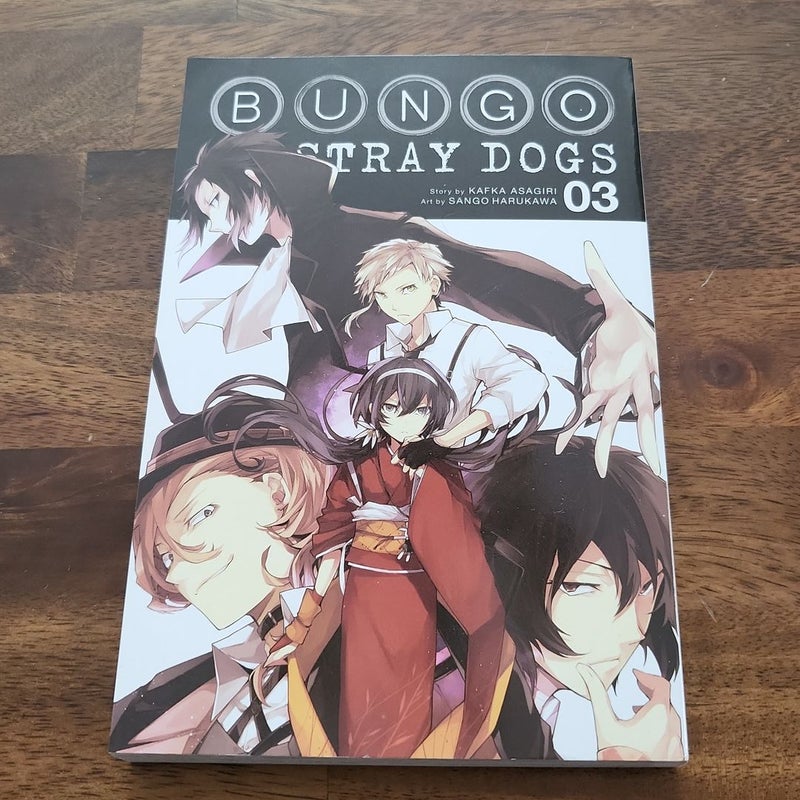 Bungo Stray Dogs, Vol. 3 (Bungo Stray Dogs, 3)