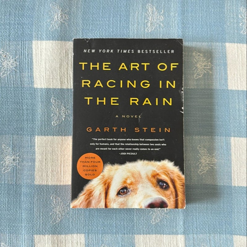 The Art of Racing in the Rain