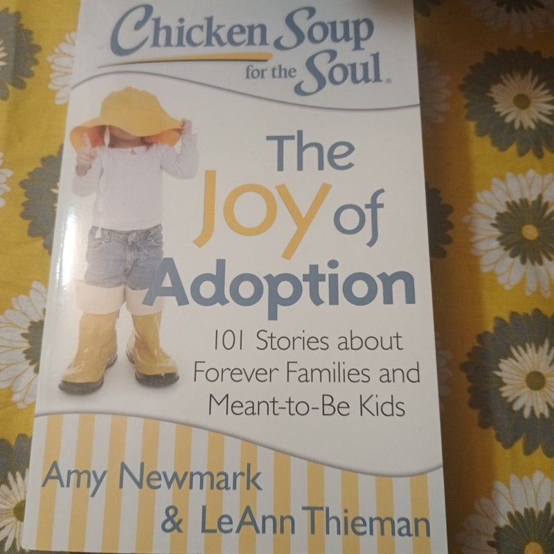 Chicken Soup for the Soul: the Joy of Adoption