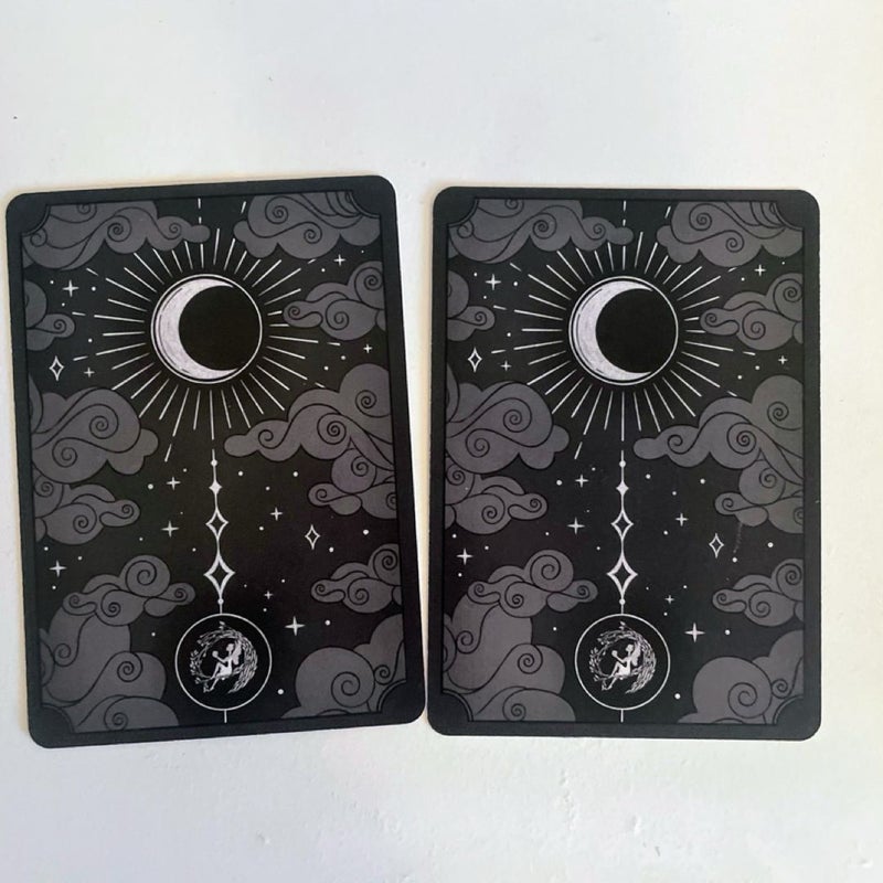 FREE SHIPPING! Fairyloot Exclusive: Vampire Academy Tarot Cards