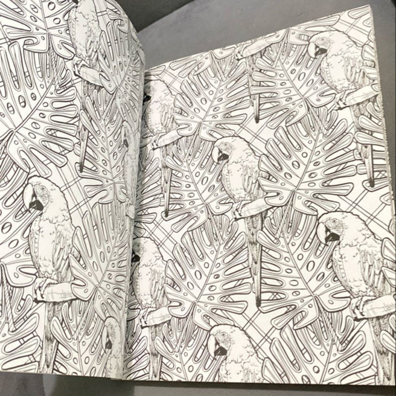 The Jungle Book: a Coloring Book