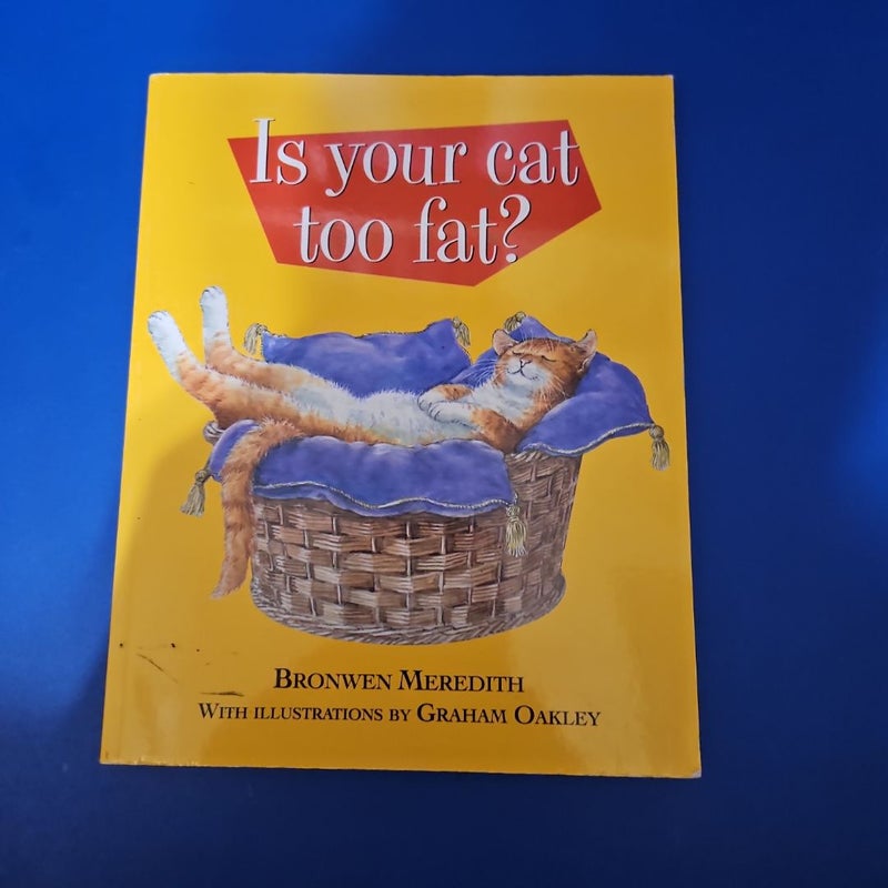Is Your Cat Too Fat?