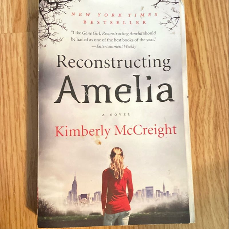 Reconstructing Amelia