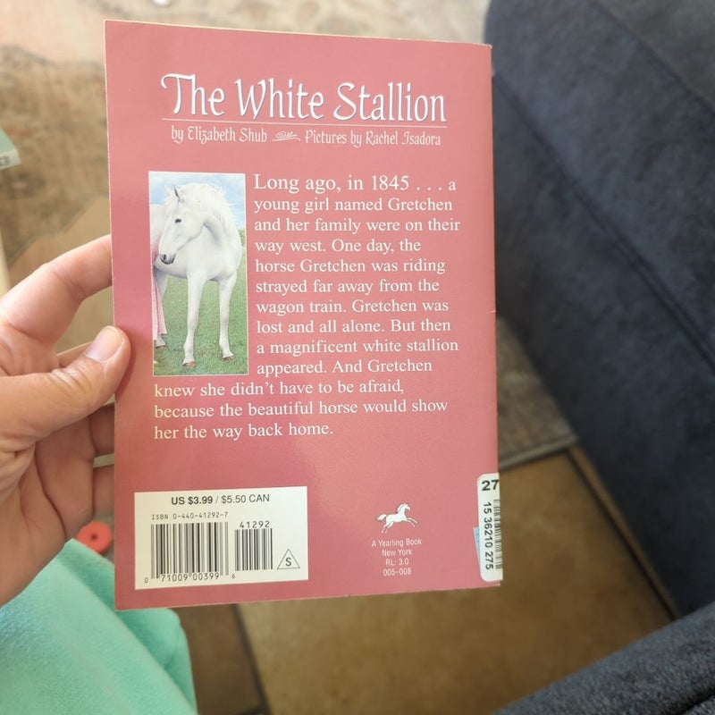 The white Stallion