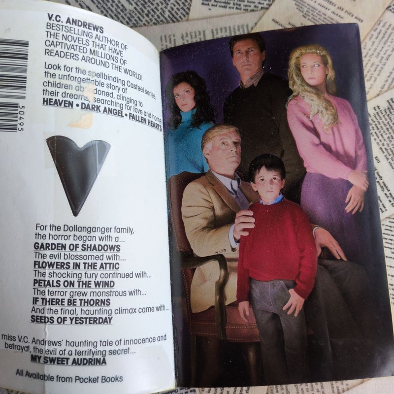 Fallen Hearts (Casteel Family #3, Stepback Cover)