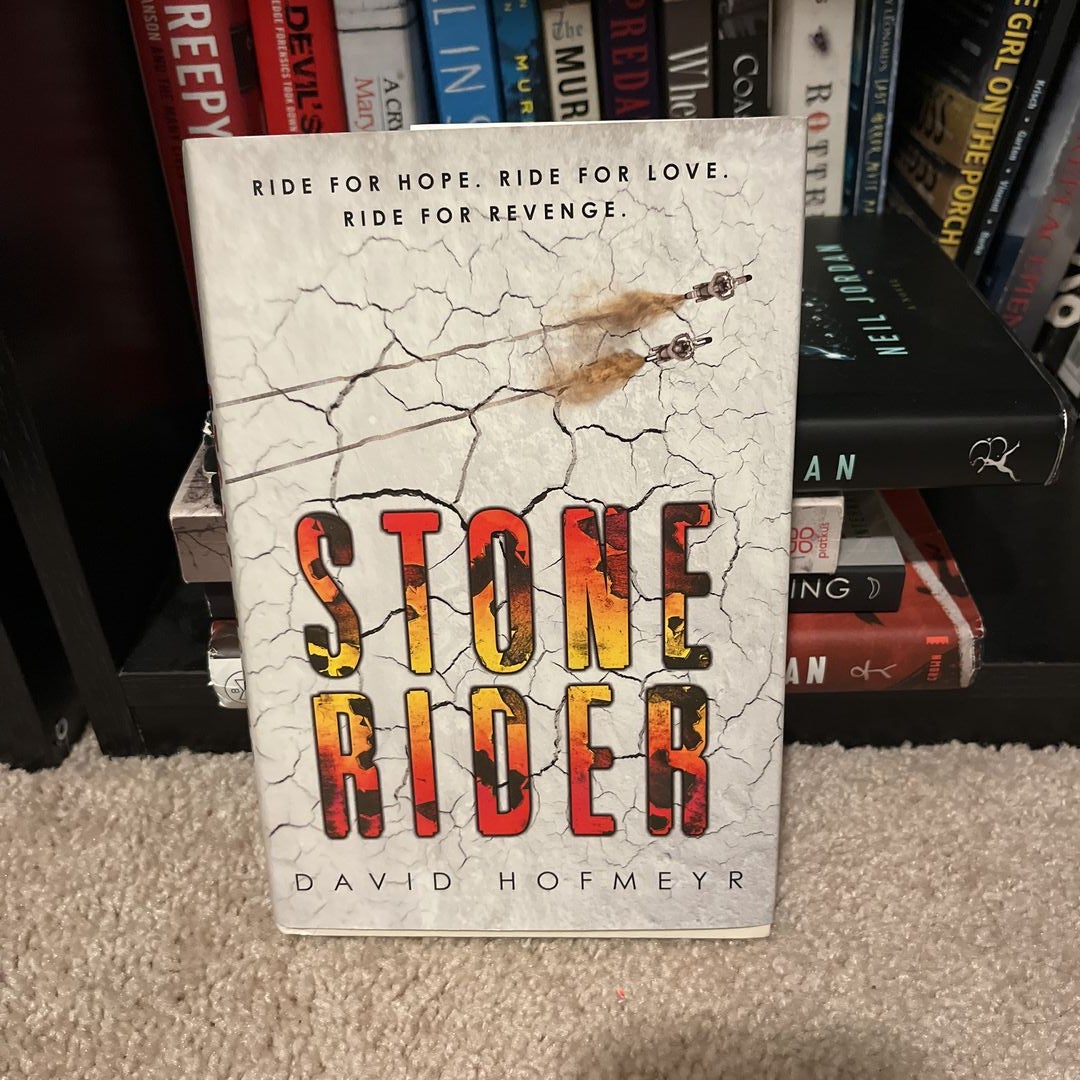 Stone Rider by David Hofmeyr