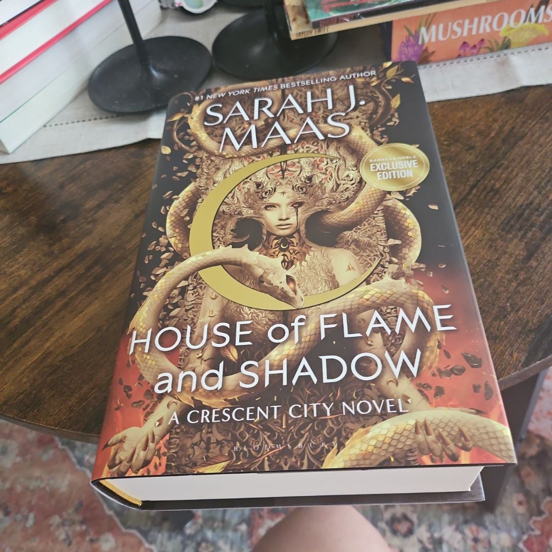 House of Flame and Shadow