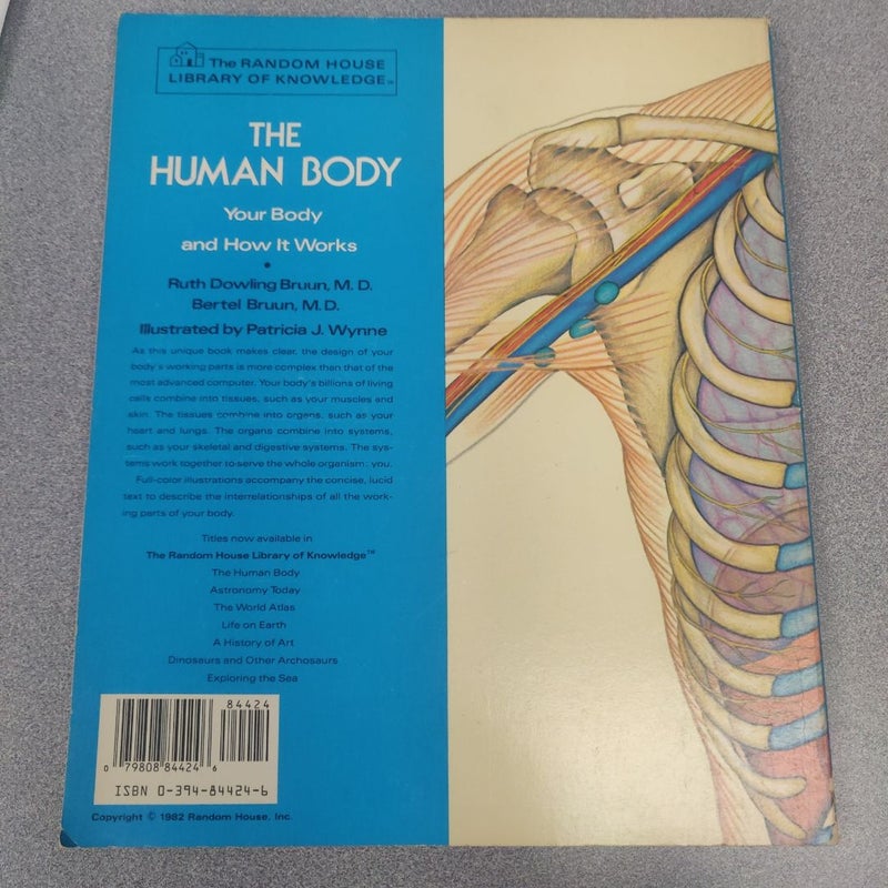 The Human Body