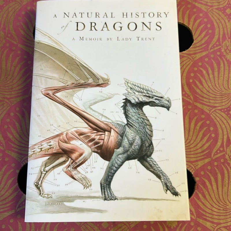 A Natural History of Dragons