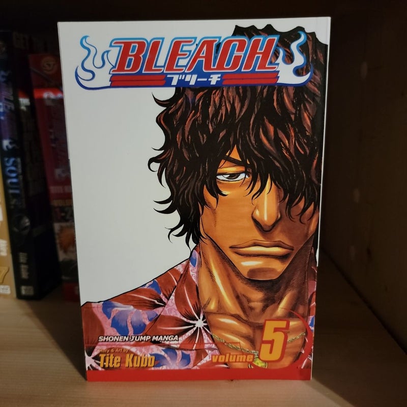 Bleach, Vol. 5