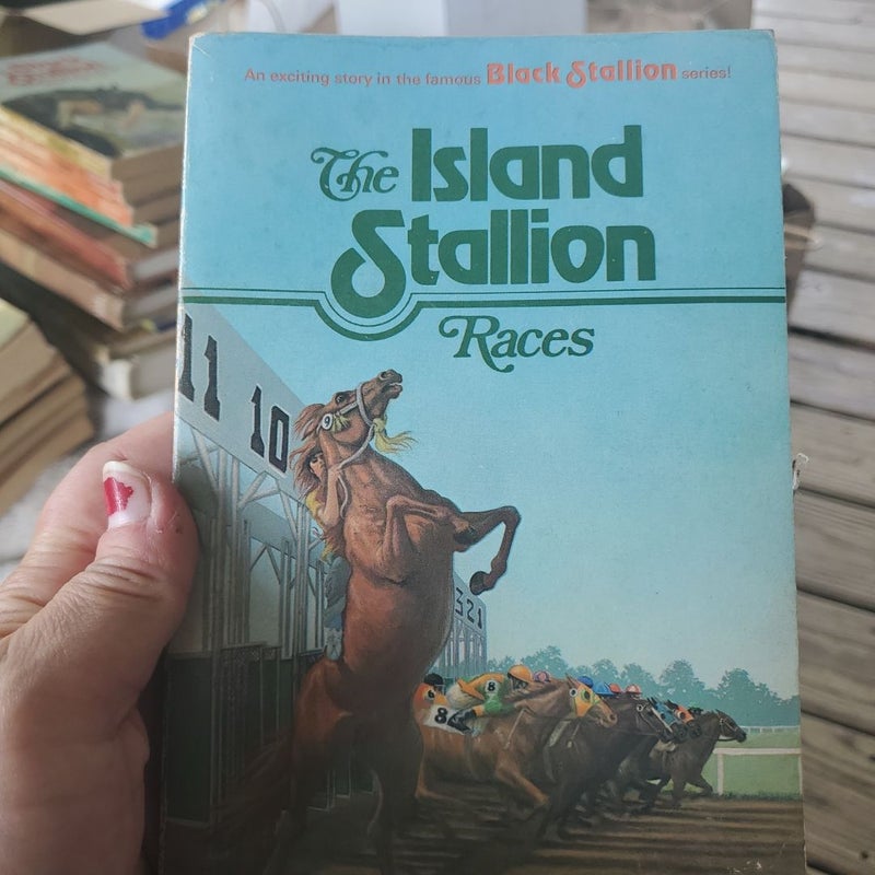 The island stallion 