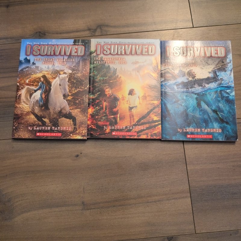 I Survived Series- 21 Book Bundle