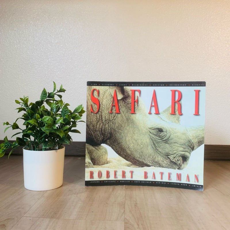 Safari