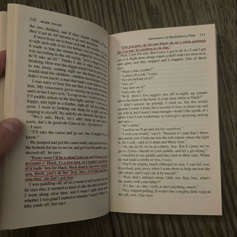 The Adventures of Huckleberry Finn