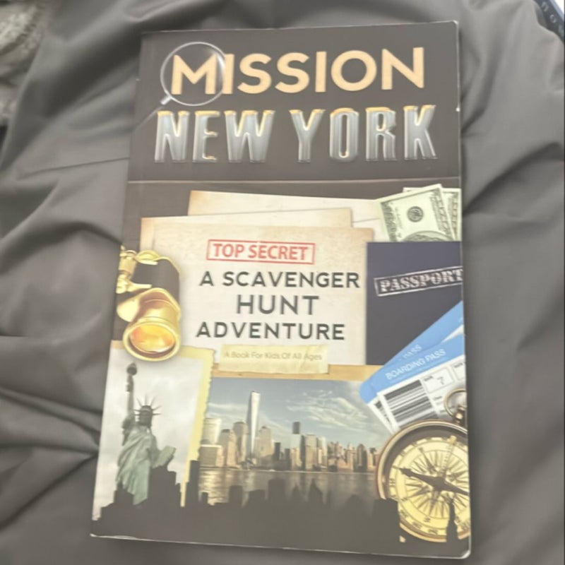 Mission New York