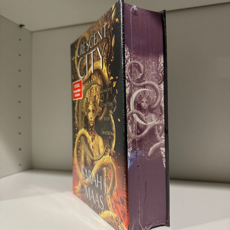 House of flame and shadow German edition