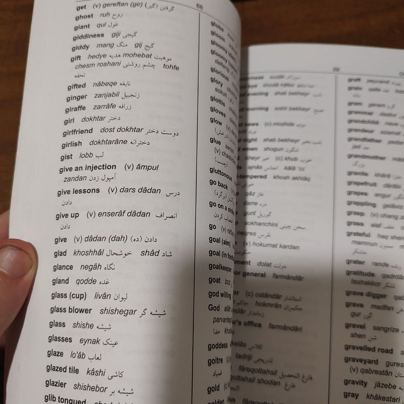Persian-English English-Persian Learner's Dictionary