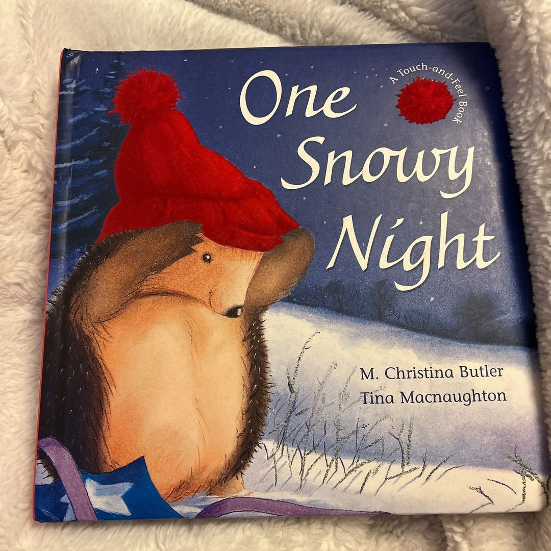 One Snowy Night