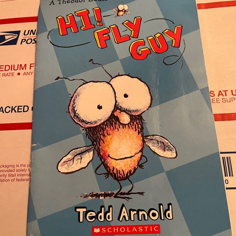 Hi! Fly guy