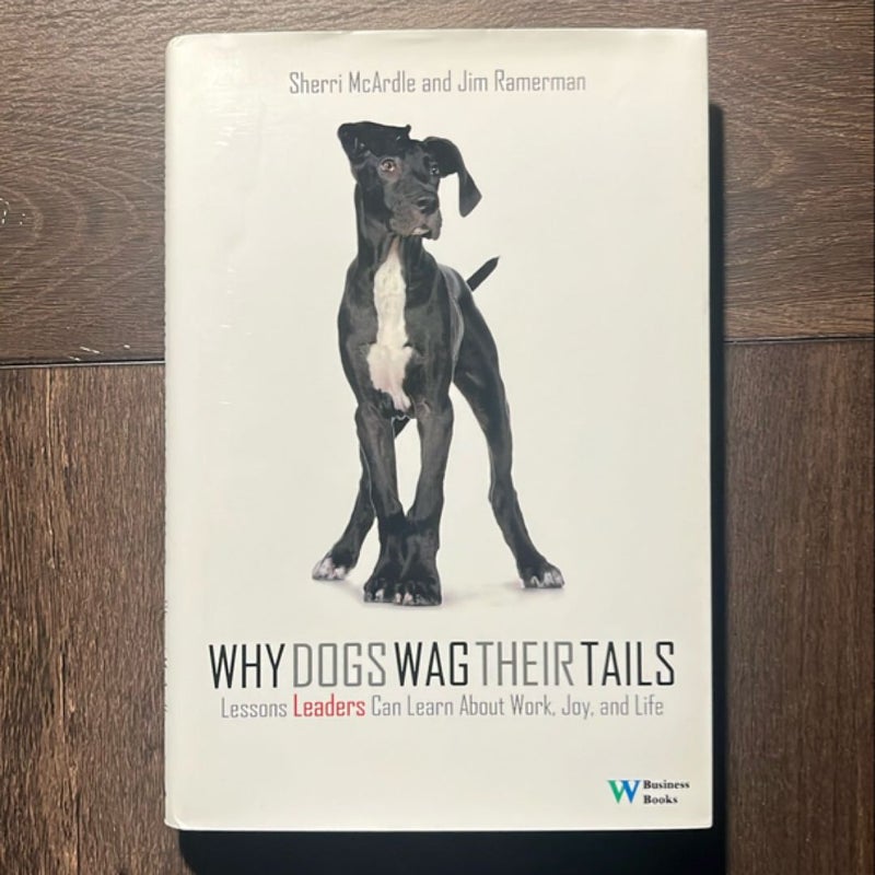 Why Dogs Wag Their Tails