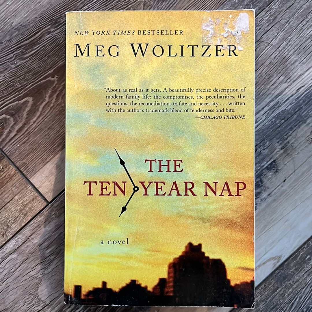 The TenYear Nap by Meg Wolitzer, Paperback Pangobooks