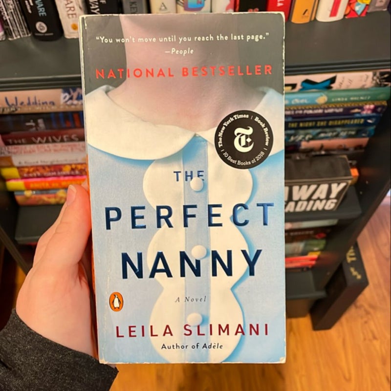 The Perfect Nanny